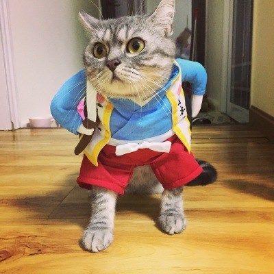 Cute Cat Costumes