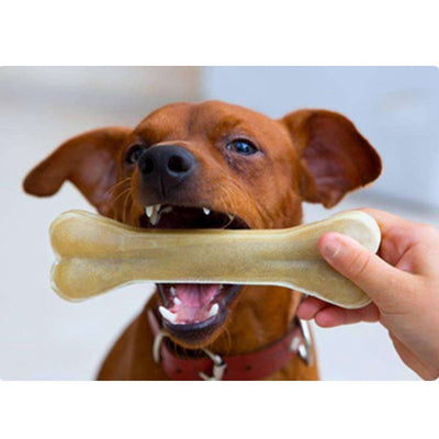 Dog Bones Treats