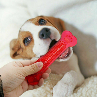 Dog Chew Toys Rubber Bone Toy