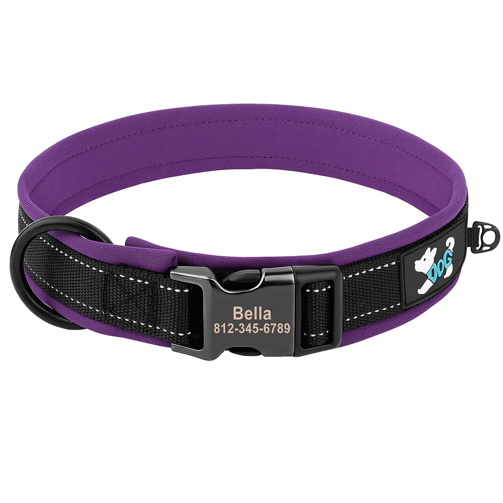 Adjustable Dog Collar