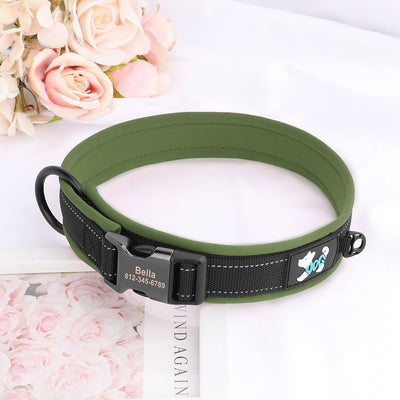 Adjustable Dog Collar