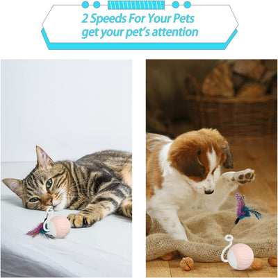 Automatic Cat Toy with LED