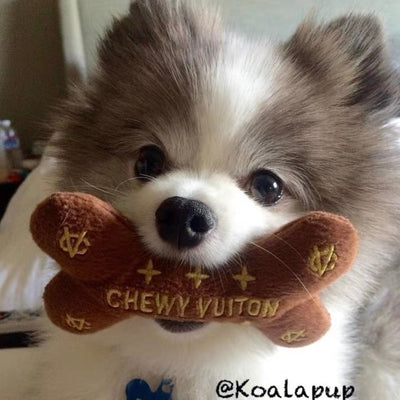 Dog Chew Toy