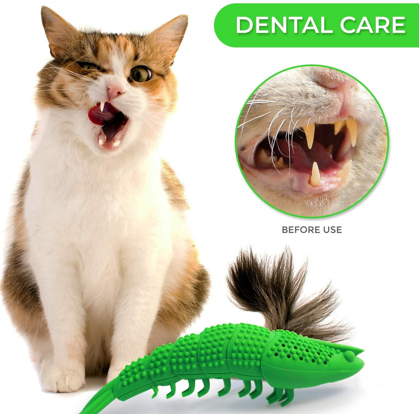 Cat Toothbrush Toy