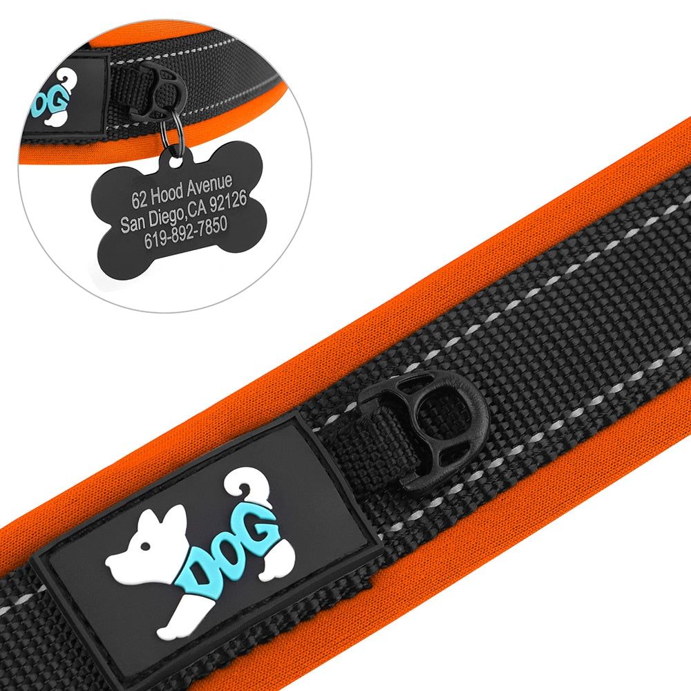 Adjustable Dog Collar