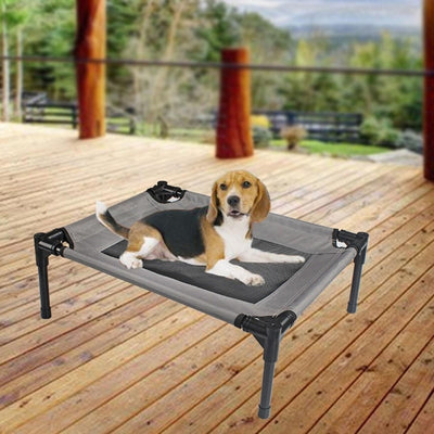 Chew Proof Elevated Dog Bed