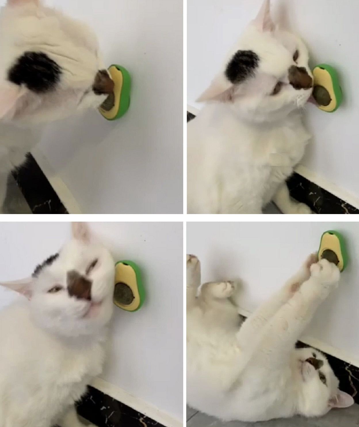 Avocado Catnip Wall Ball For Cat