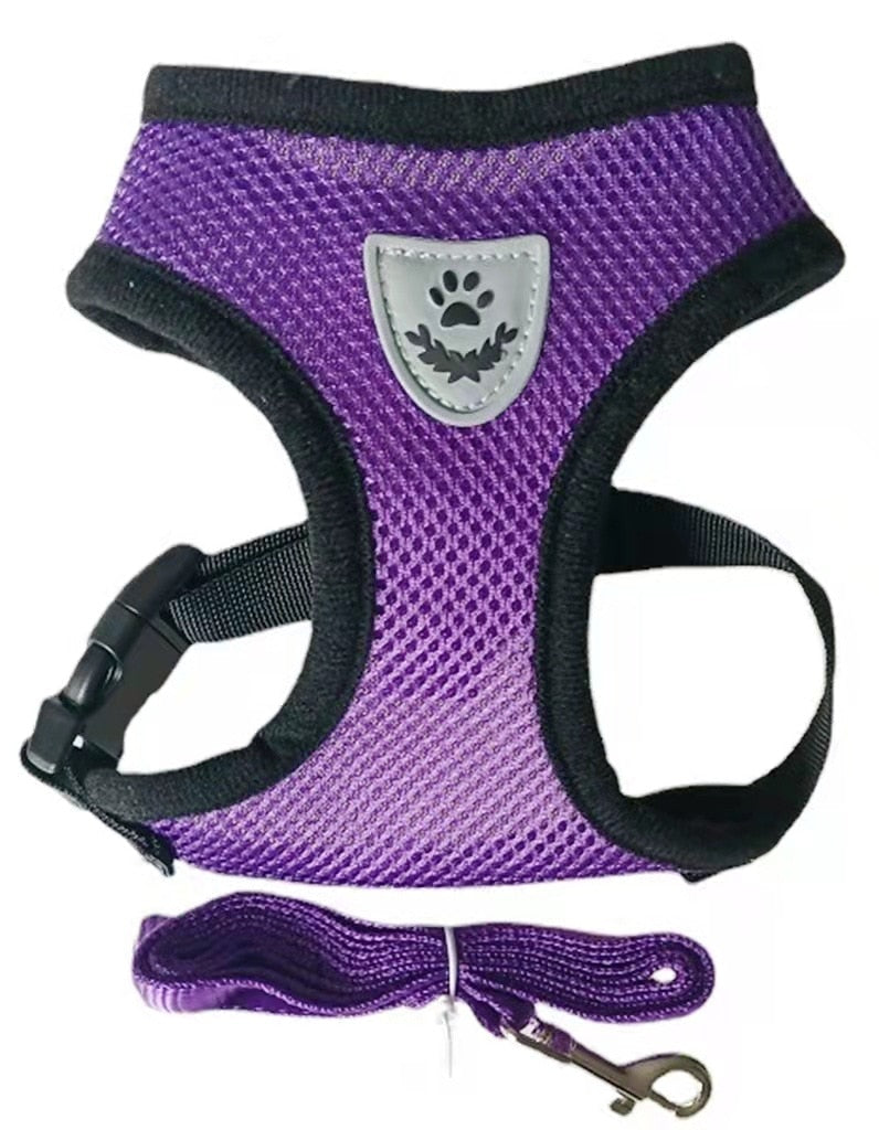 Cat Harness with Lead Leash