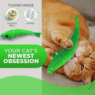 Cat Toothbrush Toy