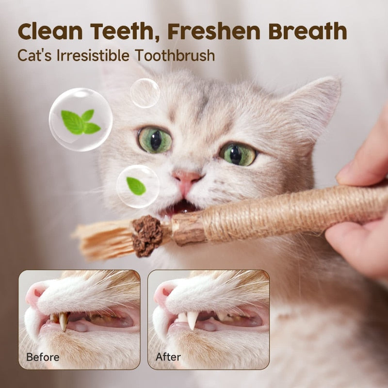 Treat Catnip Toy Kitty