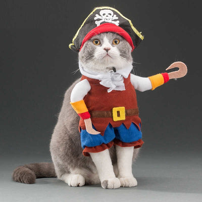 Cute Cat Costumes