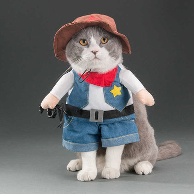 Cute Cat Costumes