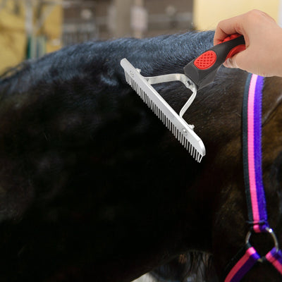 Horse Hair Brush Sweat Scraper