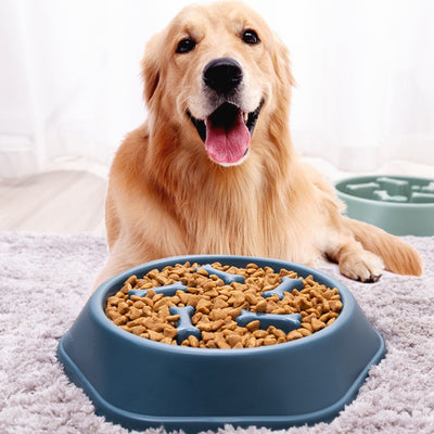 Dog Food Bowl  Slow Down Eating Feeder