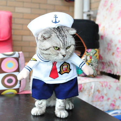 Cute Cat Costumes