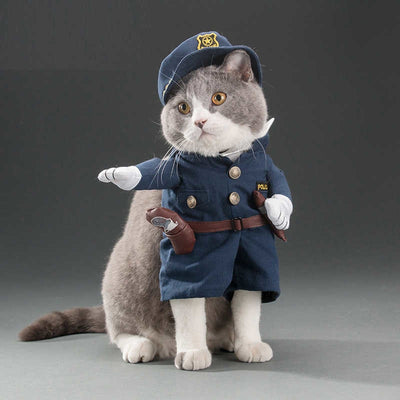 Cute Cat Costumes