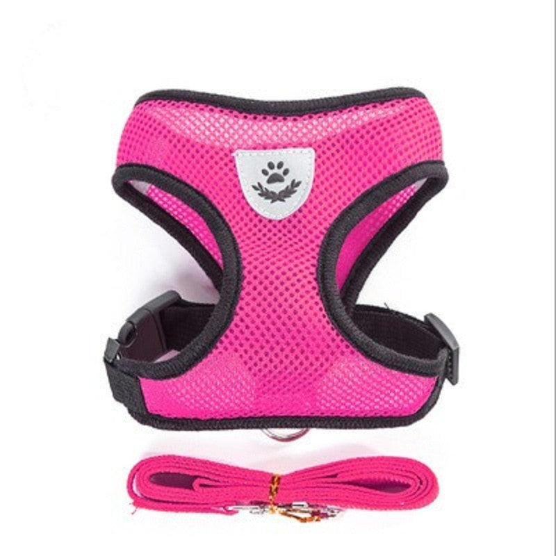 Cat Harness with Lead Leash