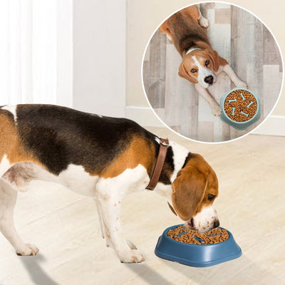 Dog Food Bowl  Slow Down Eating Feeder