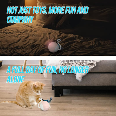 Automatic Cat Toy with LED