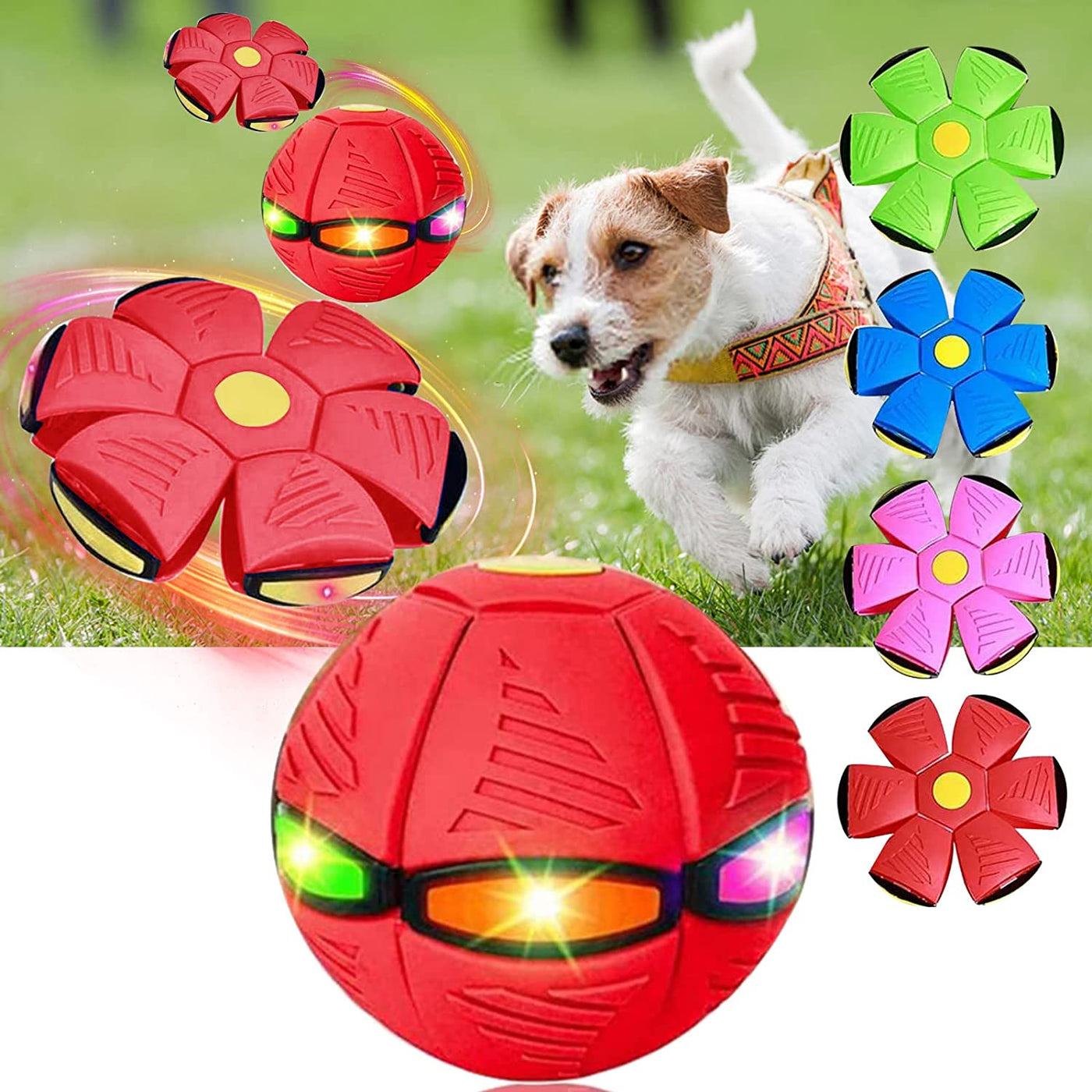 Dog Toy Magic Flying Saucer Ball