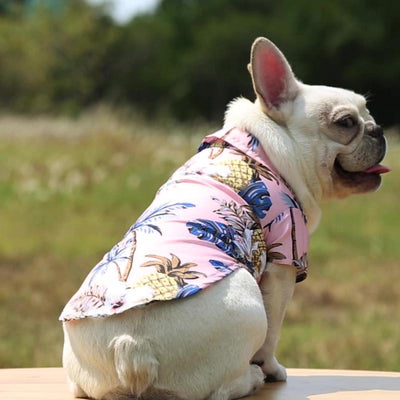 Hawaiian Style Dog Shirt Summer