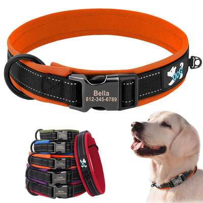 Adjustable Dog Collar