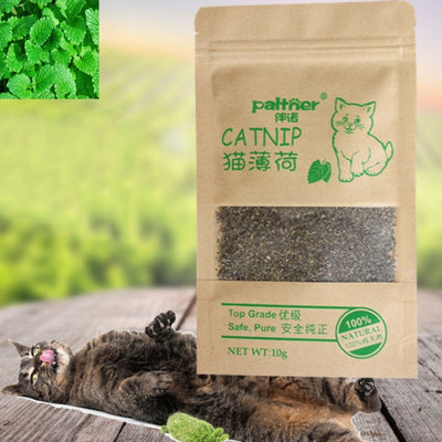 100% Natural Premium Catnip Cattle Grass