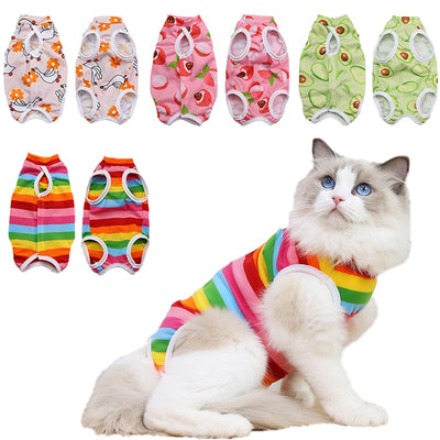 Cat Weaning Sterilization Suit