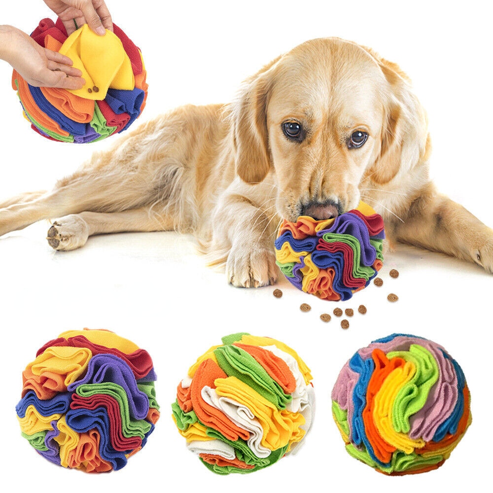 Dog Sniffing Ball Puzzle